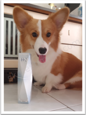 喷一喷明天就不痒也不红了